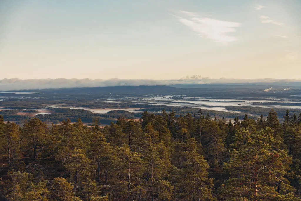 Stig genom höstskogen nära Vansbro